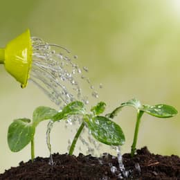 Recharge & Aquifer Sustainability
