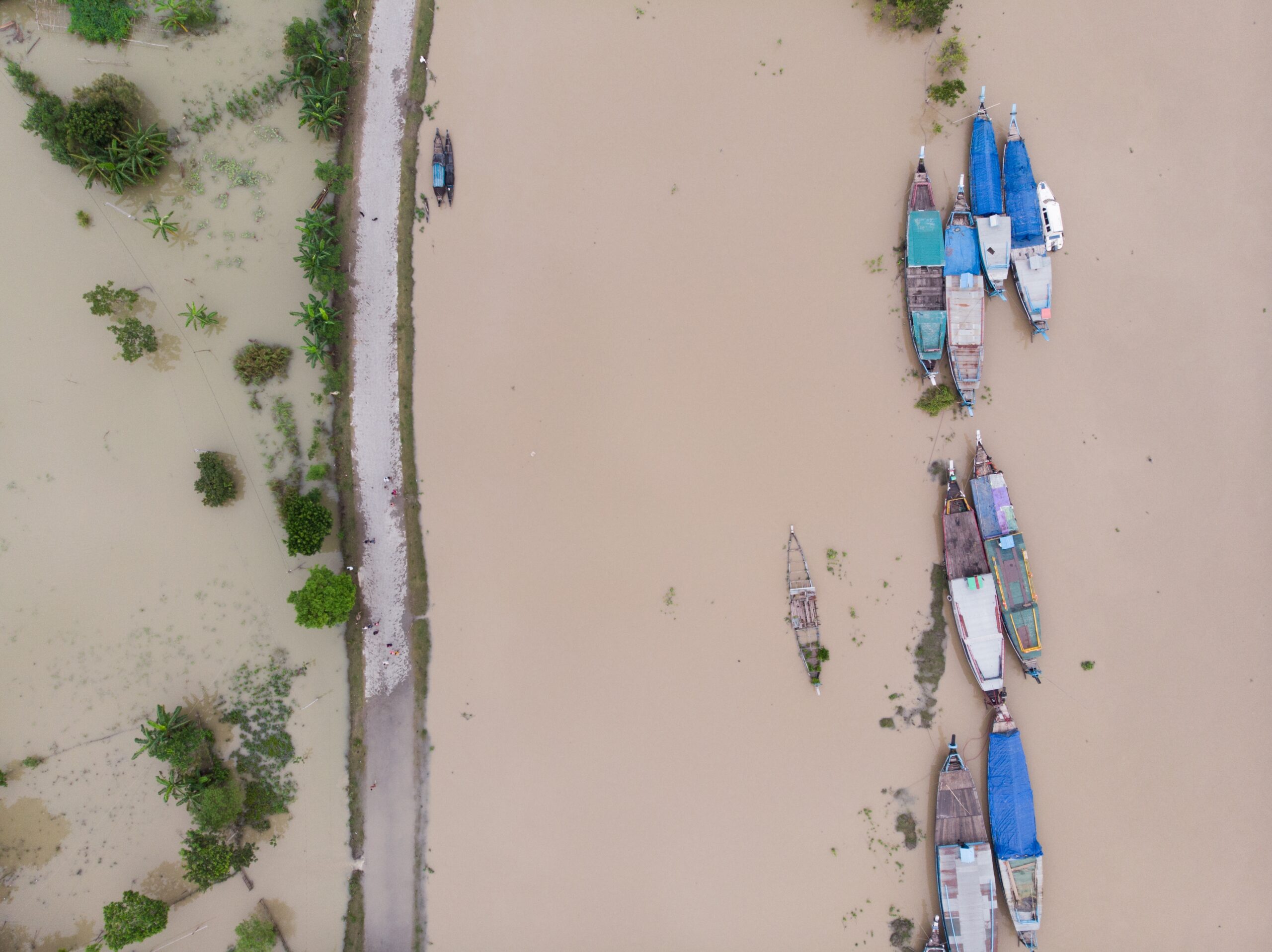 Flood Risk & Resilience
