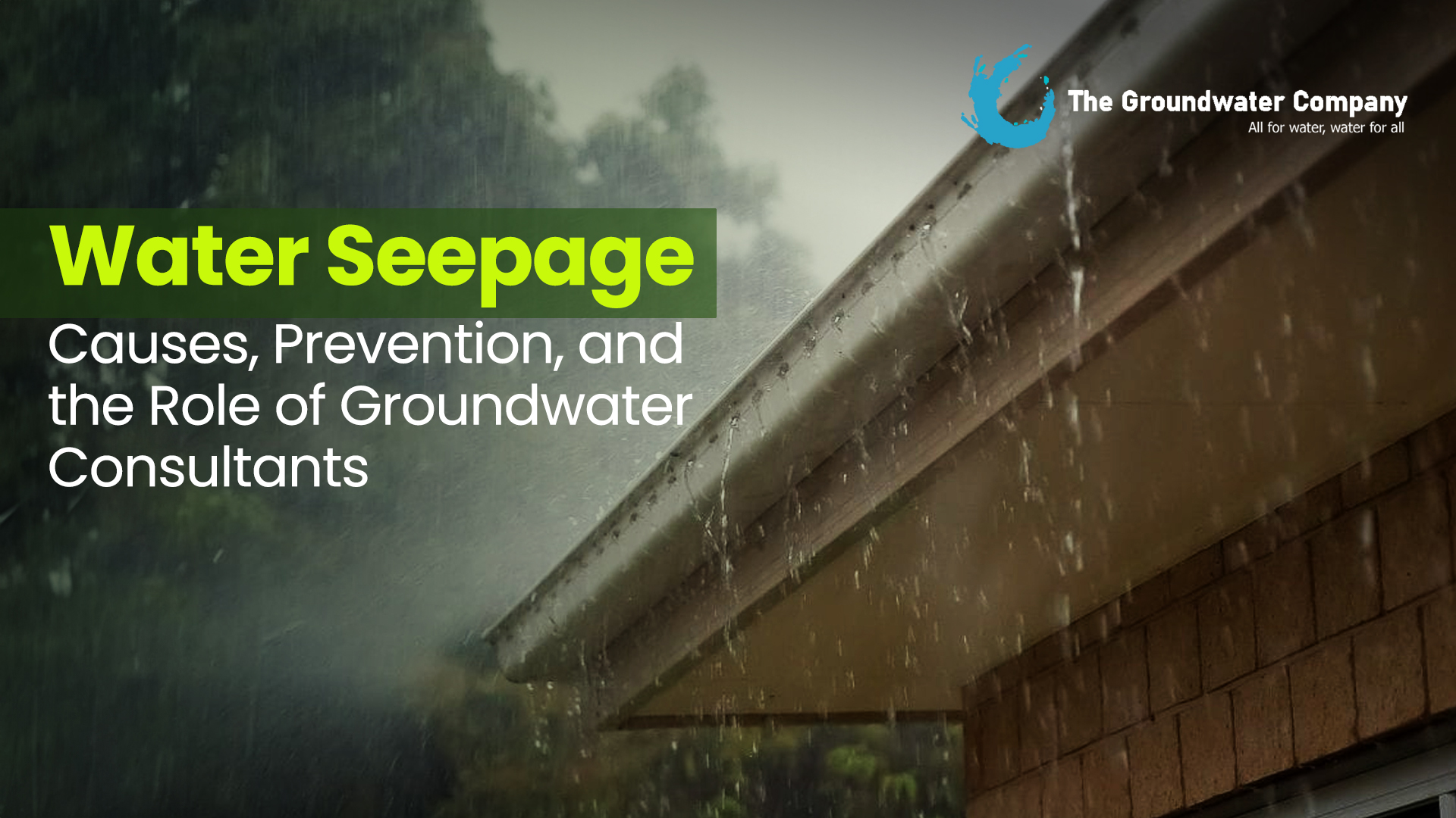 water seepage solutions