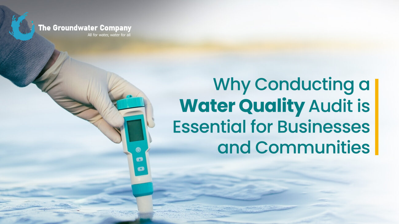 water quality audit