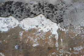 Ground Water Seepage Solutions