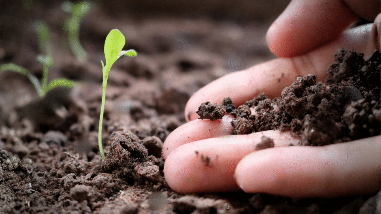 Soil Remediation Services in Madhya Pradesh