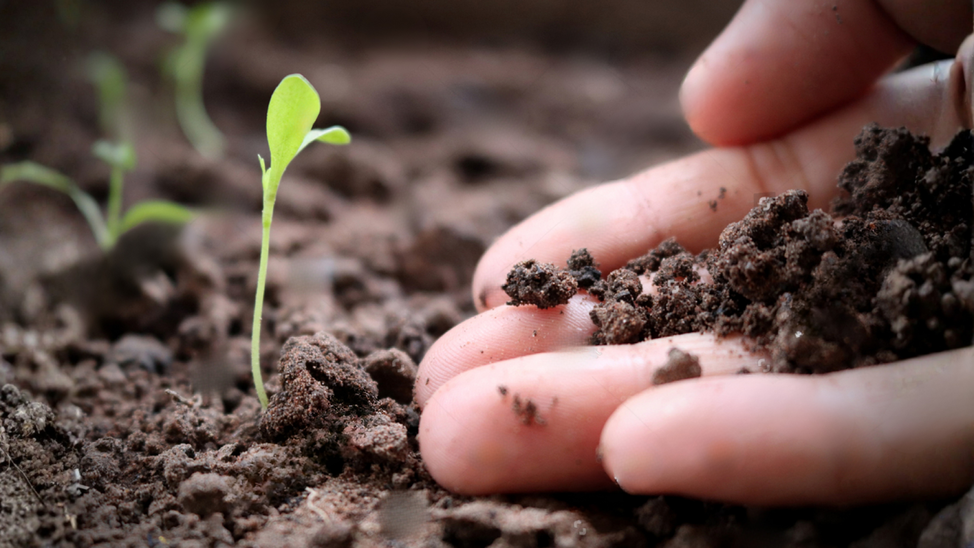 Soil Remediation Services in Madhya Pradesh