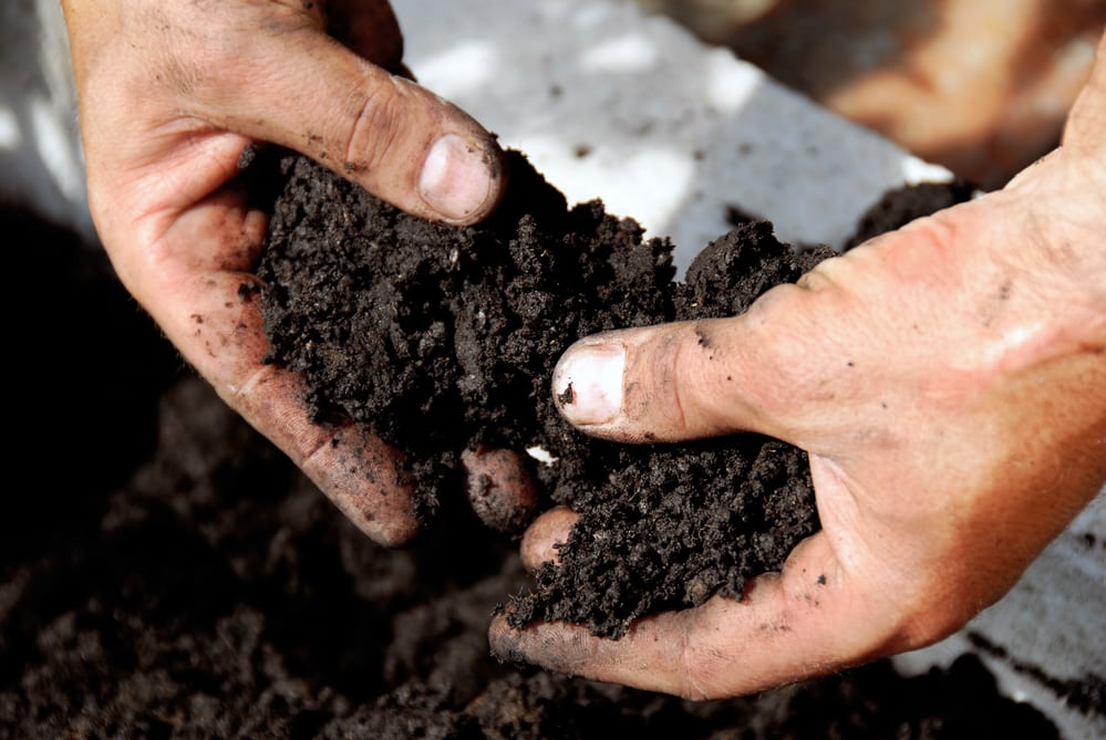 Soil Remediation Services in Kolkata