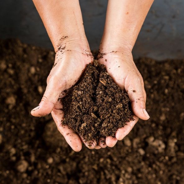 Soil Remediation Services in Chennai